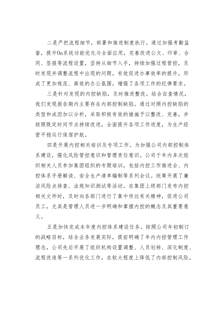 某某公司年度内部控制体系建设自评报告.docx_第2页