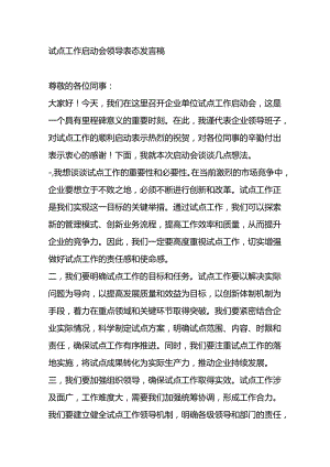 试点工作启动会领导表态发言稿.docx