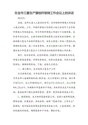 在全市三夏生产暨秸秆禁烧工作会议上的讲话.docx