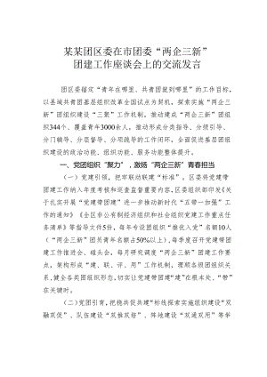 某某团区委在市团委“两企三新”团建工作座谈会上的交流发言.docx