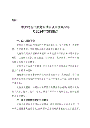 中关村现代服务业试点项目征集指引及2024年支持重点.docx