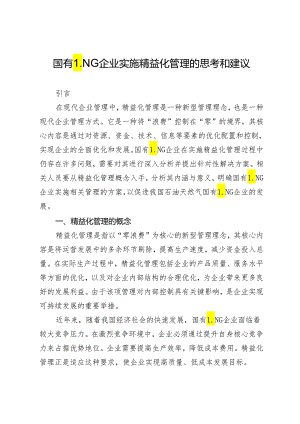 国有LNG企业实施精益化管理的思考和建议.docx