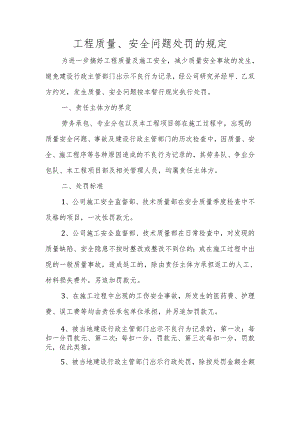 工程质量、安全问题处罚的规定.docx