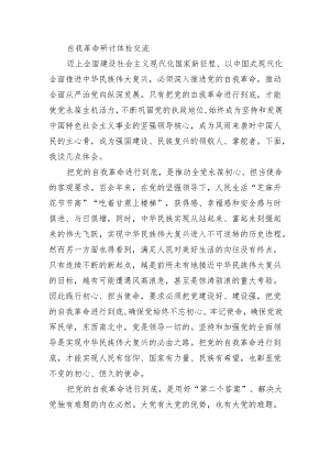 自我革命研讨体检交流.docx