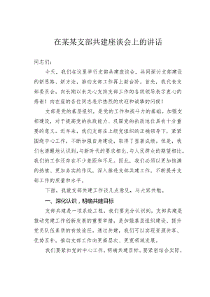 在某某支部共建座谈会上的讲话.docx