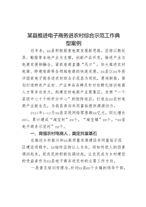 某县推进电子商务进农村综合示范工作典型案例.docx