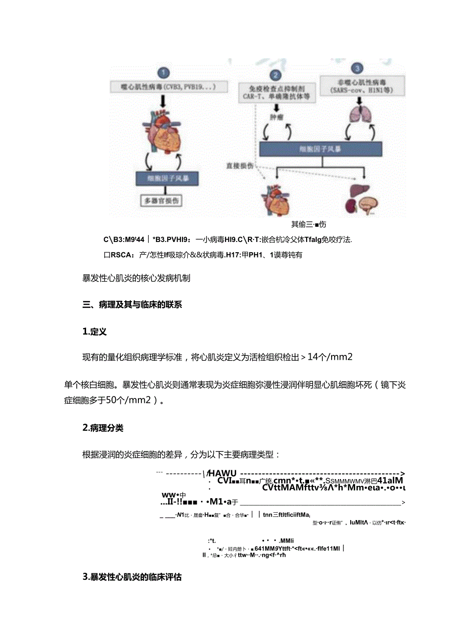 《中国成人暴发性心肌炎诊断和治疗指南》图文梳理.docx_第3页