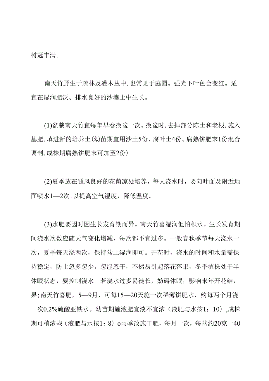 南天竹怎么养及注意事项.docx_第3页