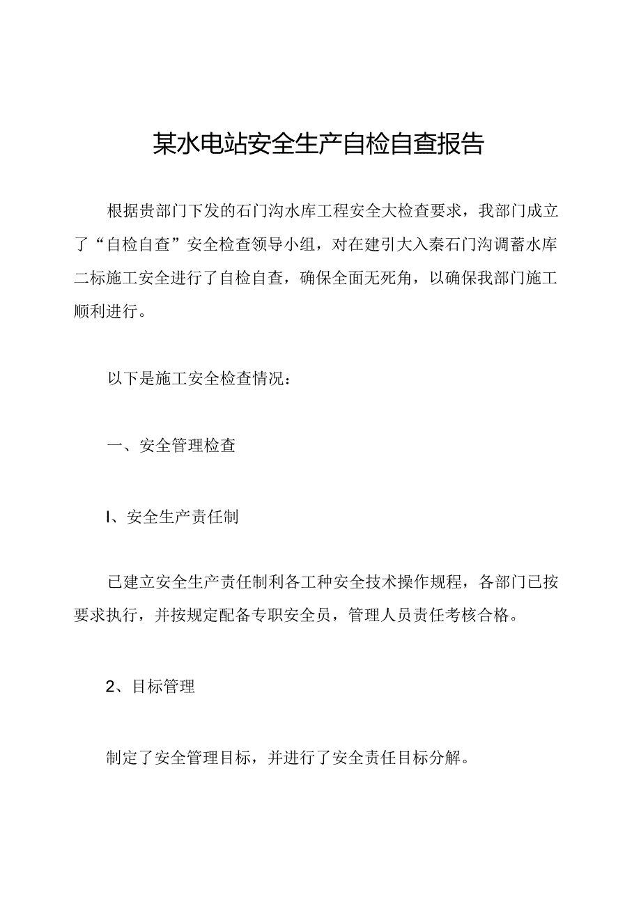 某水电站安全生产自检自查报告.docx_第1页