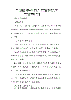 某县税务局2024年上半年工作总结及下半年工作谋划安排.docx