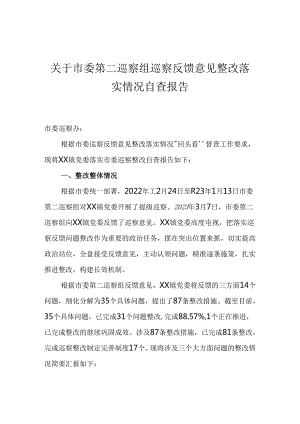 关于市委第二巡察组巡察反馈意见整改落实情况自查报告.docx