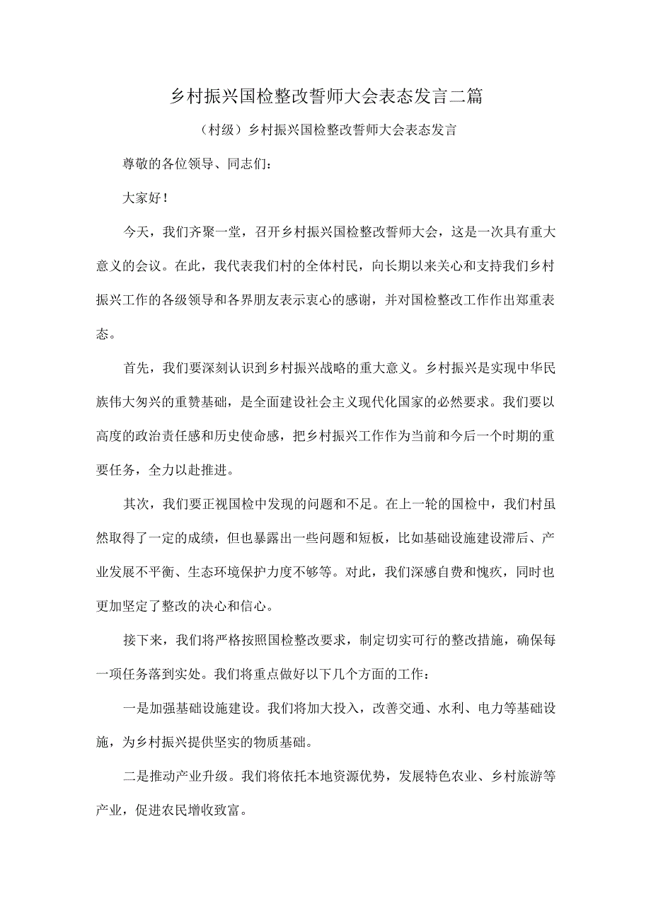 乡村振兴国检整改誓师大会表态发言二篇.docx_第1页