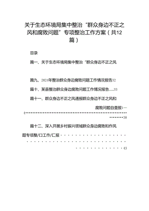 关于生态环境局集中整治“群众身边不正之风和腐败问题”专项整治工作方案（共12篇）.docx