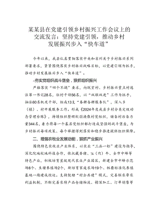 某某县在党建引领乡村振兴工作会议上的交流发言：坚持党建引领推动乡村发展振兴步入“快车道”.docx