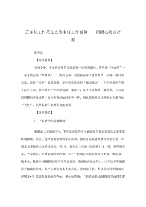 班主任工作范文班主任工作案例——用耐心收获奇迹.docx