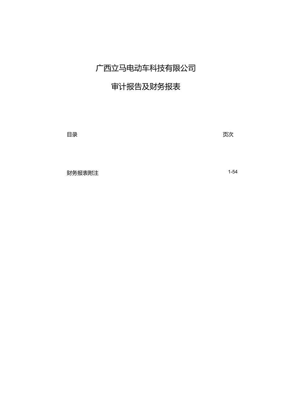 星星科技：广西立马电动车科技有限公司审计报告.docx_第2页