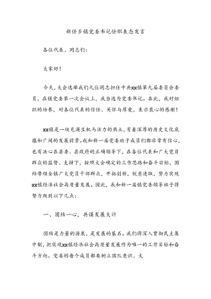 新任乡镇党委书记任职表态发言.docx