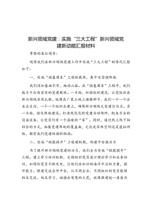 新兴领域党建：实施“三大工程” 新兴领域党建新动能汇报材料.docx