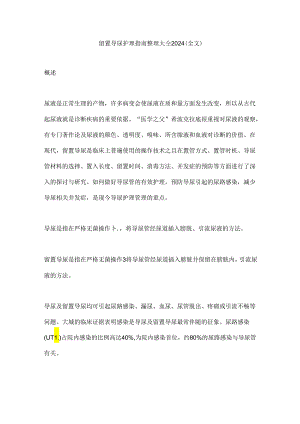 留置导尿护理指南整理大全2024（全文）.docx