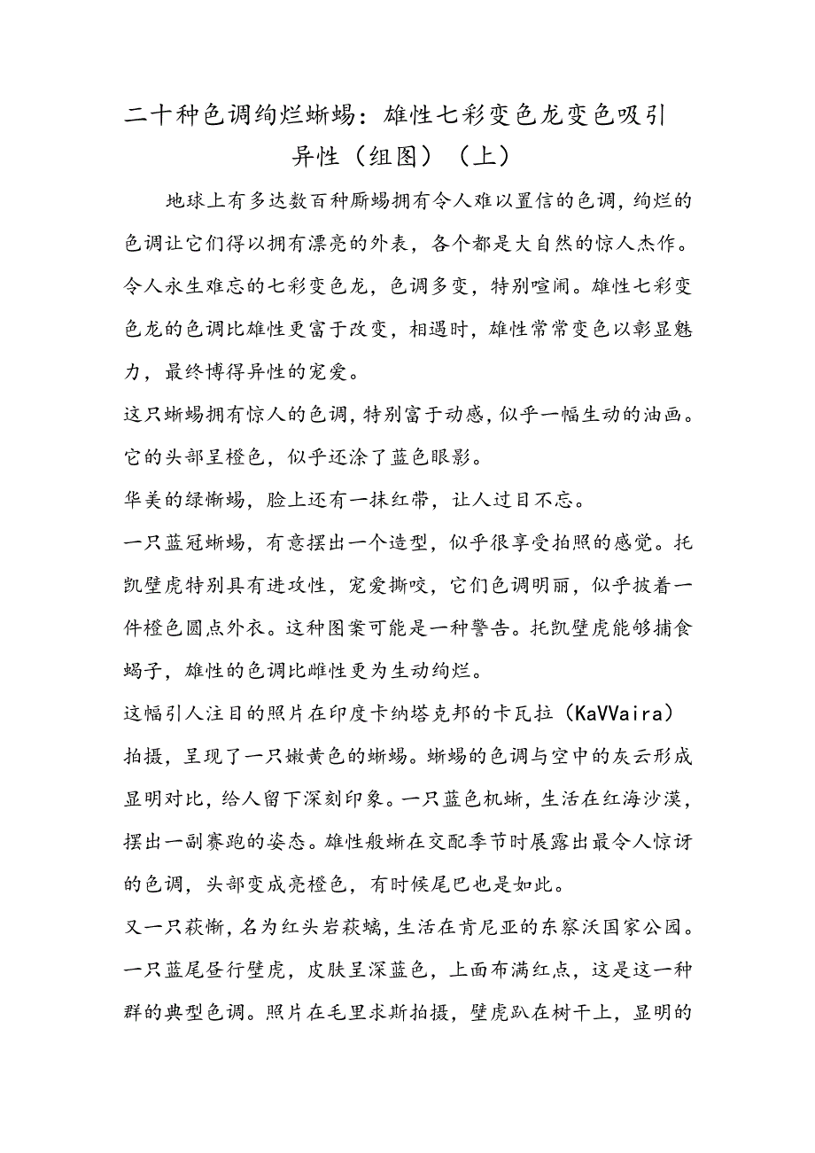 二十种色彩绚烂蜥蜴：雄性七彩变色龙变色吸引异性（组图）（上）.docx_第1页