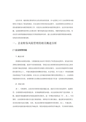 企业财务风险管理的基本框架.docx