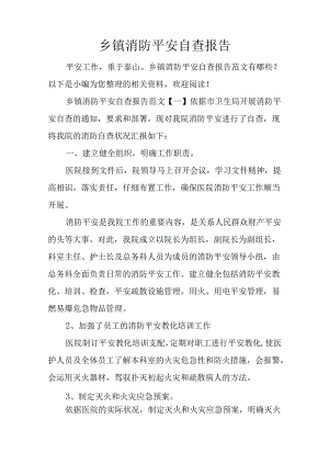 乡镇消防安全自查报告.docx