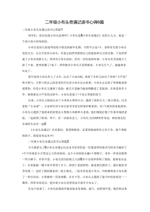 二年级小布头奇遇记读书心得6篇.docx