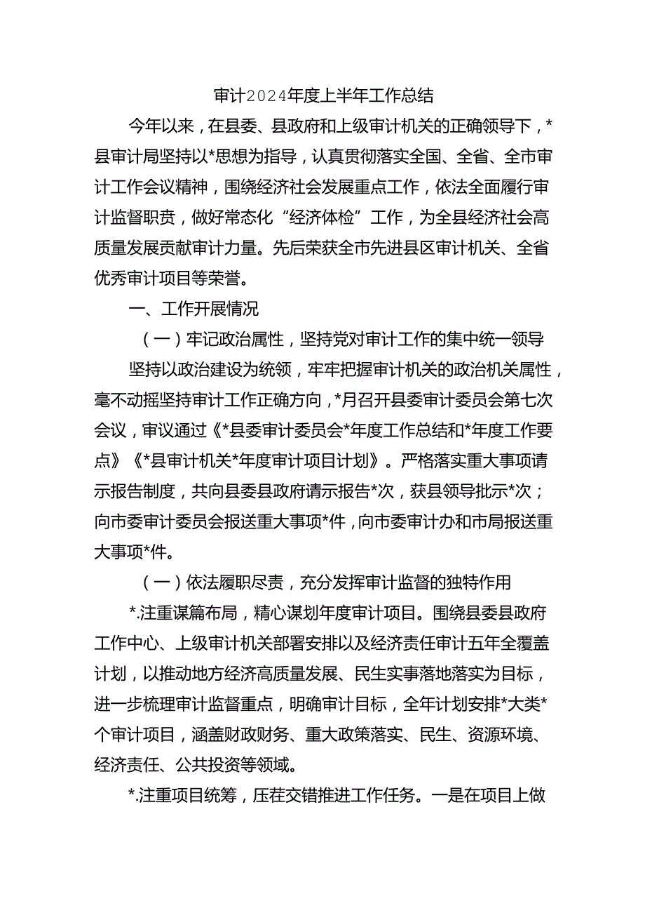 审计2024年度上半年工作总结.docx_第1页