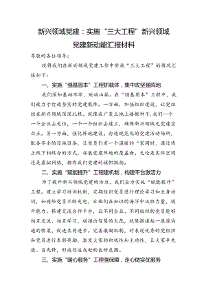 新兴领域党建：实施“三大工程”+新兴领域党建新动能汇报材料.docx