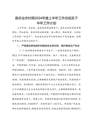 县农业农村局2024年度上半年工作总结及下半年工作计划.docx