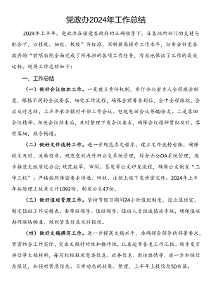 党政办2024年工作总结.docx