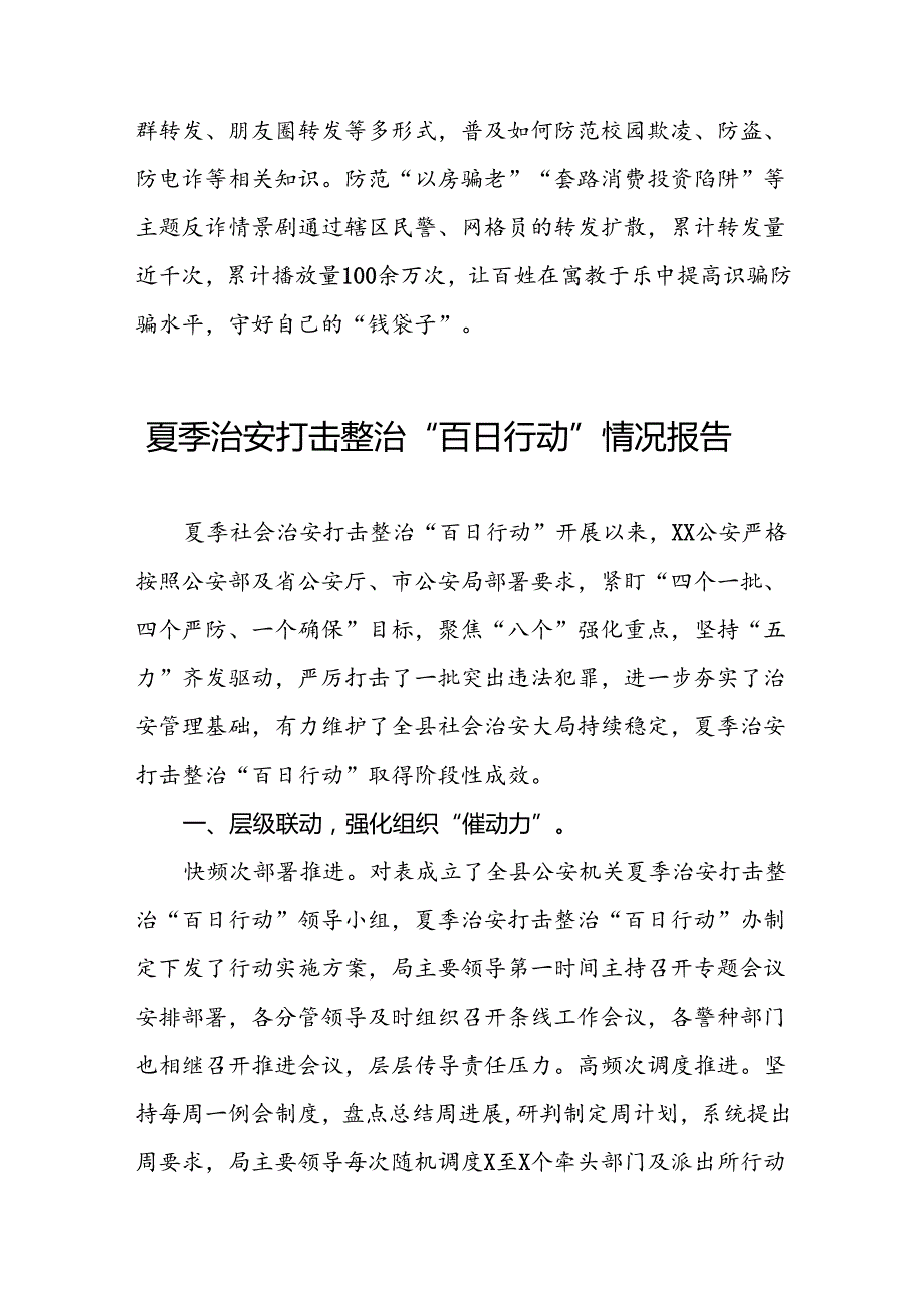 2024夏季治安打击整治“百日行动”工作总结8篇.docx_第3页