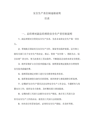 企业公司安全生产责任制逐级说明.docx