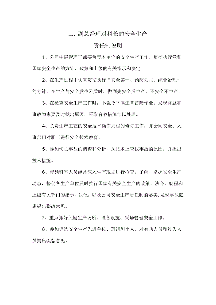 企业公司安全生产责任制逐级说明.docx_第2页