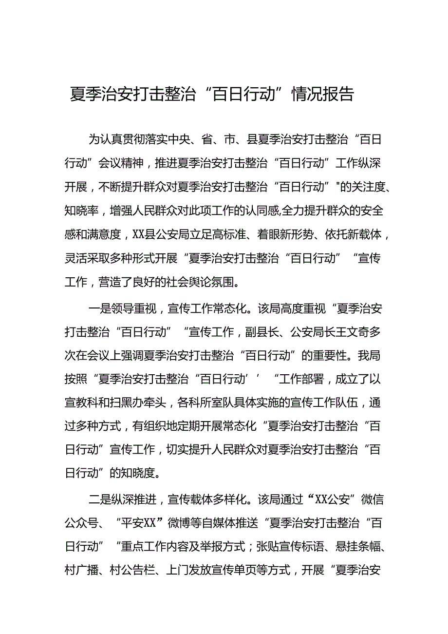 公安夏季治安打击整治工作总结报告七篇.docx_第1页