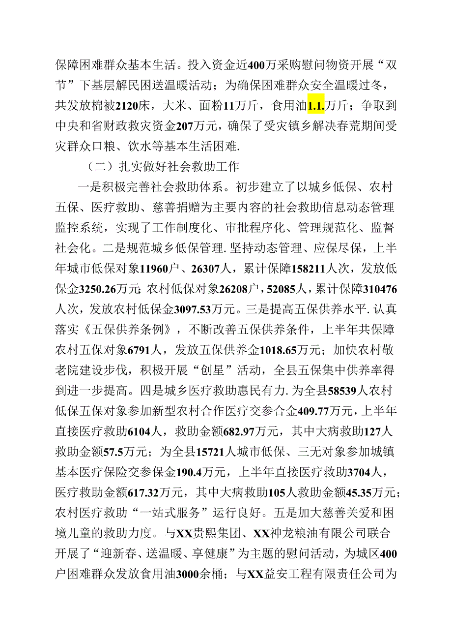 民政局工作总结.docx_第2页