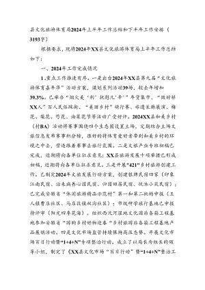 县文化旅游体育局2024年上半年工作总结和下半年工作安排（3193字）.docx