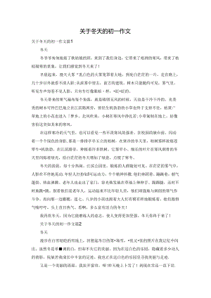 关于冬天的初一作文.docx