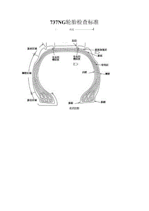 737NG轮胎检查标准.docx