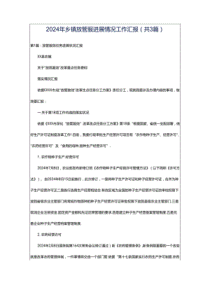 2024年乡镇放管服进展情况工作汇报（共3篇）.docx