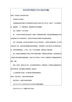 2024年升职后工作计划（共5篇）.docx