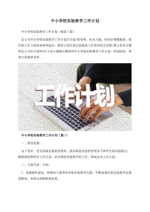 中小学校实验教学工作计划.docx