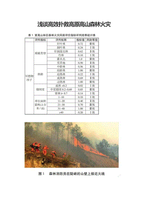 浅谈高效扑救高原高山森林火灾.docx