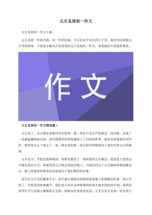 元旦见闻初一作文.docx