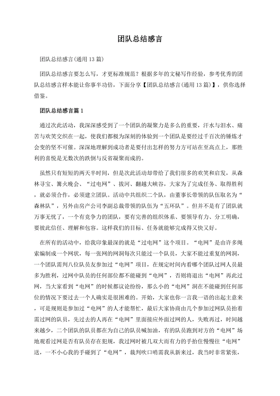 团队总结感言.docx_第1页