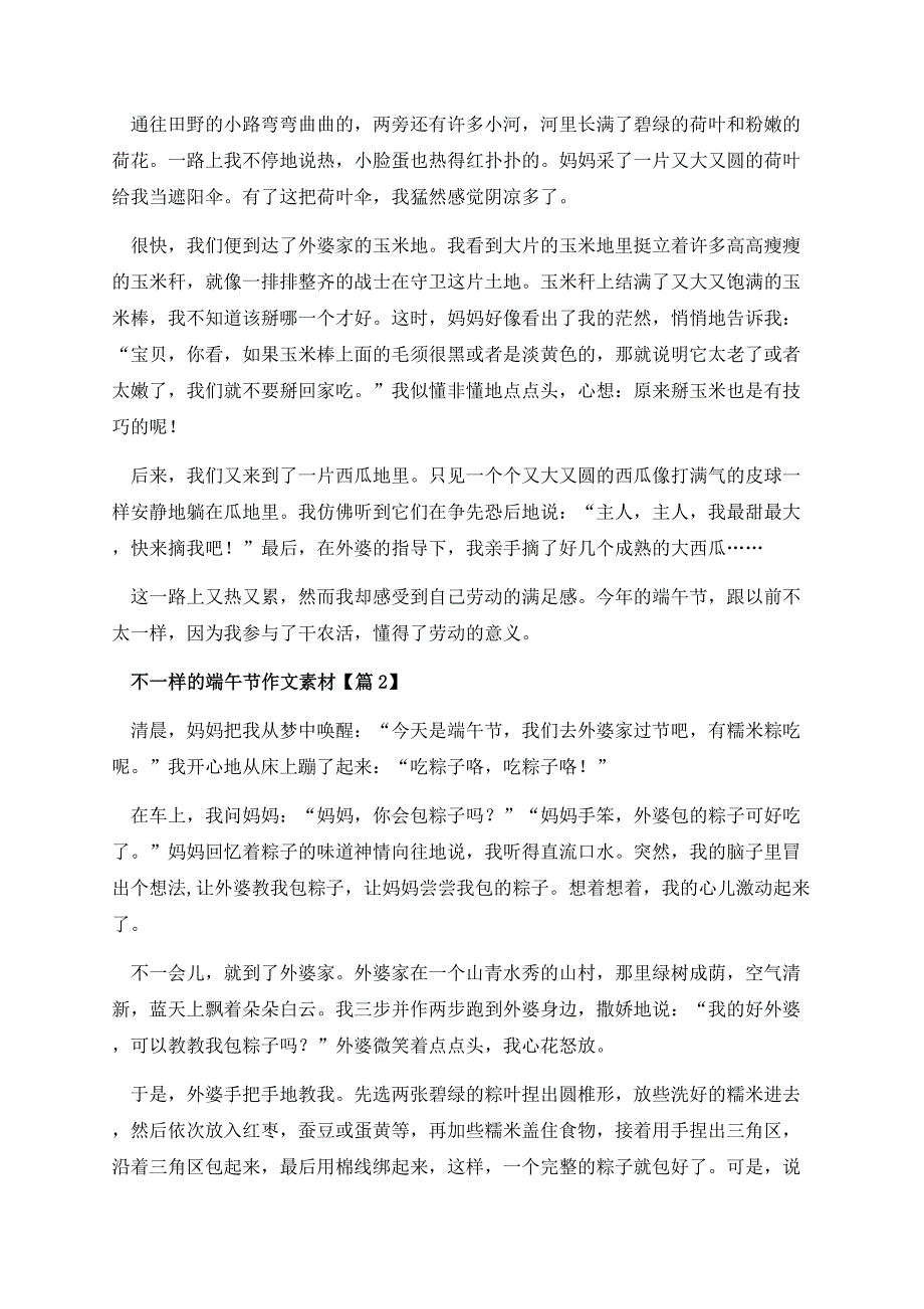 不一样的端午节作文素材.docx_第2页