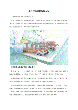 工作转正自我鉴定总结.docx