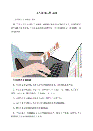 工作周报总结2023.docx