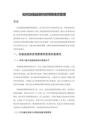 如何加强县级财政预算绩效管理.docx