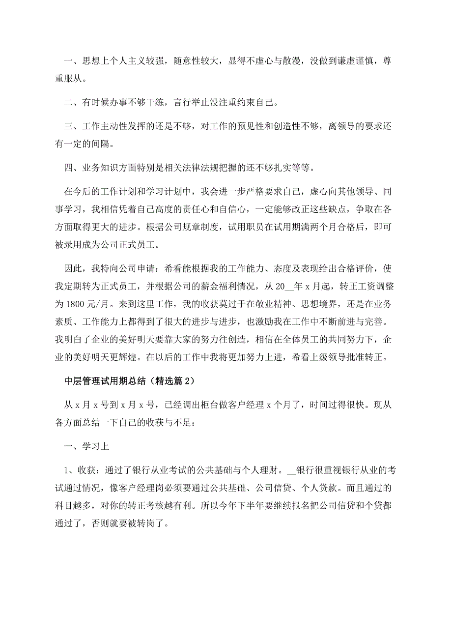 中层管理试用期总结.docx_第2页